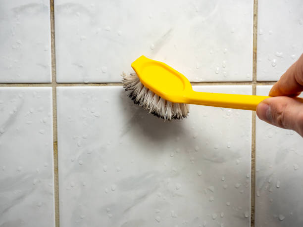 Best Basement Mold Remediation in El Dorado Springs, MO