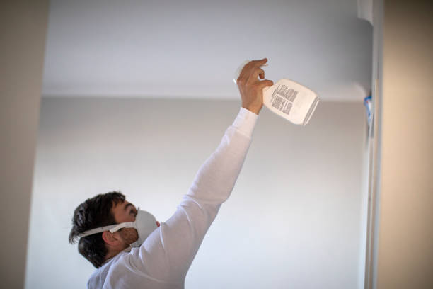 Best Industrial Mold Remediation in El Dorado Springs, MO