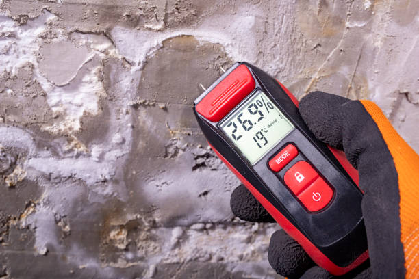 Best Commercial Mold Remediation in El Dorado Springs, MO