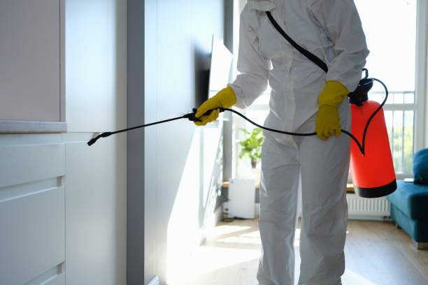 Best Mold Remediation for Specific Building Types in El Dorado Springs, MO