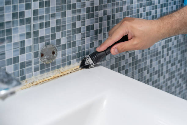 Best Residential Mold Remediation in El Dorado Springs, MO